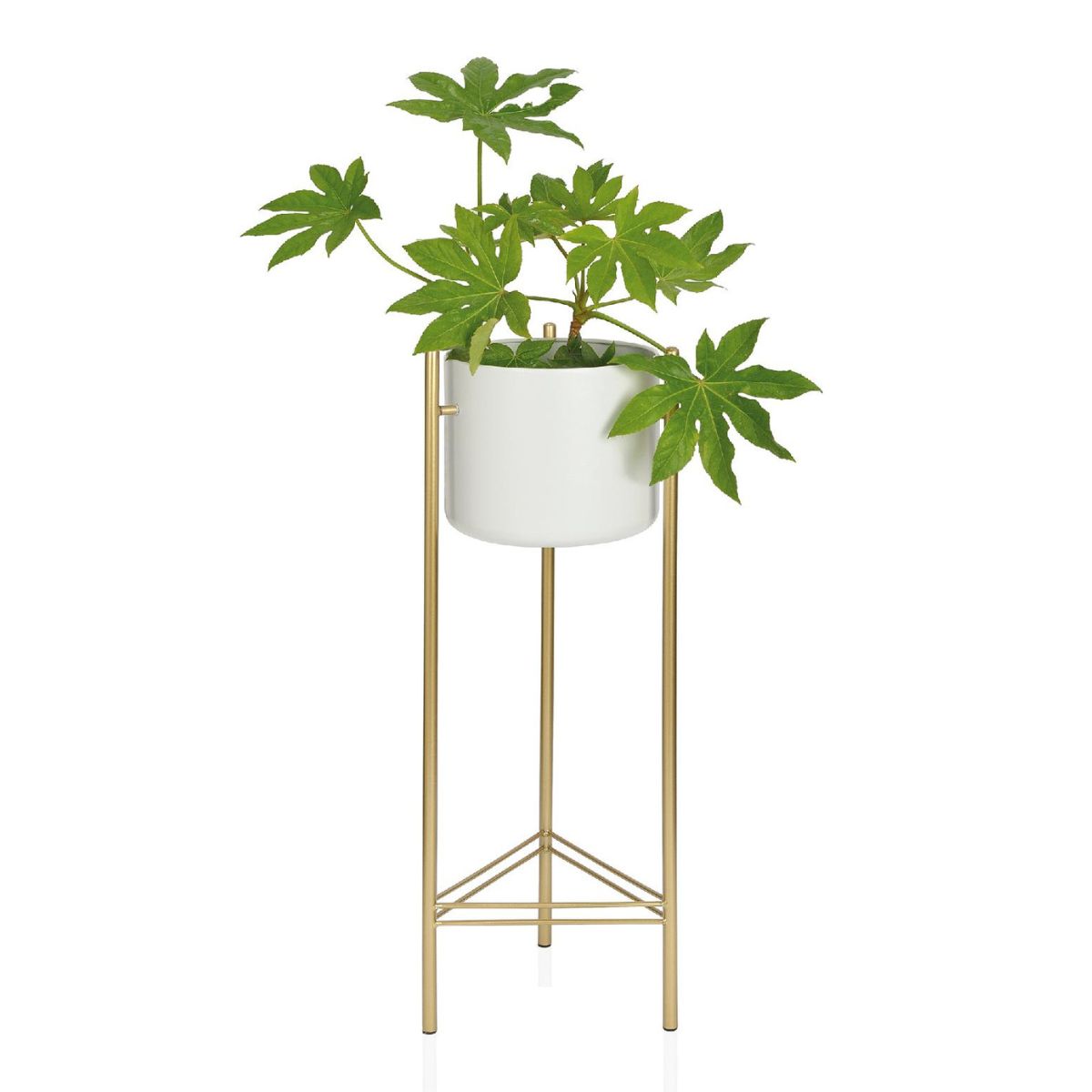 Macetero alto de metal blanco y dorado con planta